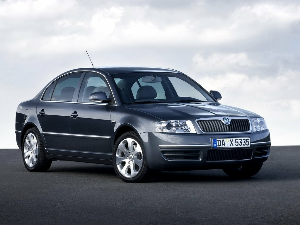 Коврики текстильные для Skoda Superb I (седан / 3U) 2006 - 2008